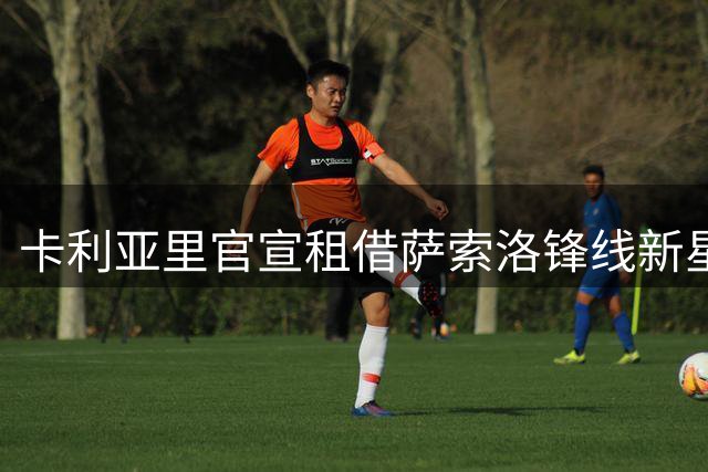 卡利亚里官宣租借萨索洛锋线新星切尔沃