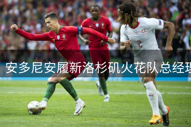 安多尼安履新洛杉矶火花队总经理